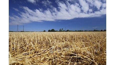 Siccità, Faraone (Iv): a Caltanissetta silos con acqua, è collasso