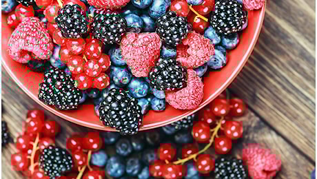 Dieta ricca di flavonoidi con tè nero, mele e frutti di bosco: per invecchiare meglio