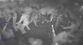 Catania, pestavano coetanei in discoteca senza ragioni: arrestati sei giovani. I video delle violente aggressioni