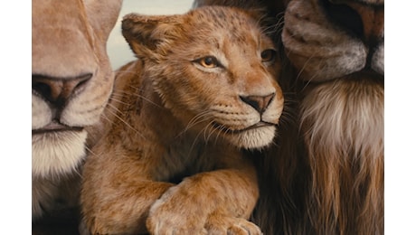 'Mufasa', ovvero come l'originale Re Leone rende omaggio al passato