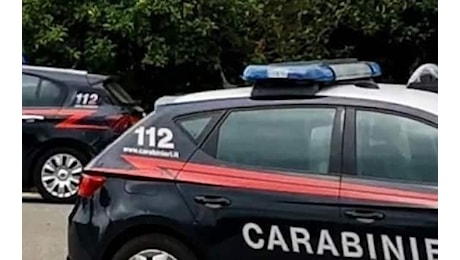 Reggio Emilia, accoltellata dall'ex: lui ricercato, lei in ospedale