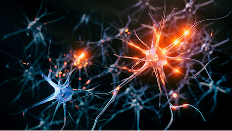 Scoperto come il cervello usa il placebo per combattere il dolore: nuovi circuiti neurali
