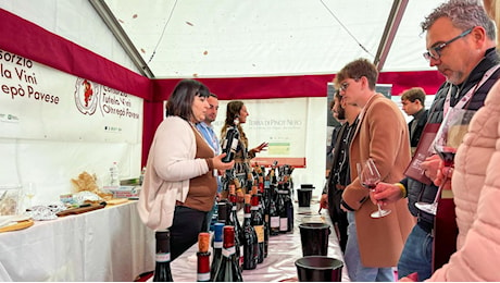 Quindici aziende oltrepadane al Merano Wine festival