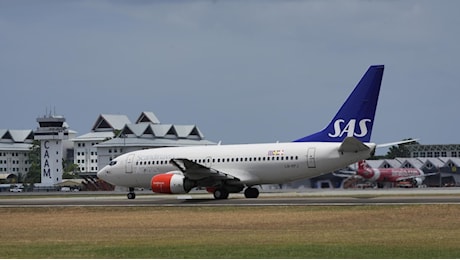 L'aereo costretto all'atterraggio d'emergenza per colpa di un topo nel pasto