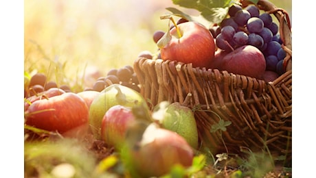 Autunno, stare bene con il cibo di stagione