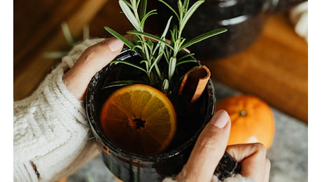 Autunno sano: cosa puoi fare per la tua anima e il tuo corpo in questo periodo dell'anno?