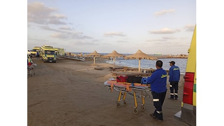 Marsa Alam, chi sono i due turisti italiani attaccati da uno squalo