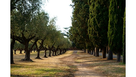 La via Appia è stata dichiarata patrimonio dell'umanità UNESCO