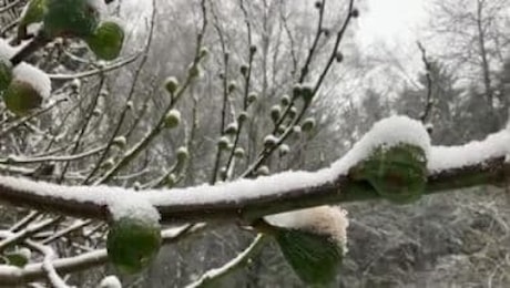 Francia, prima neve a Parigi, fiocca a Montmartre