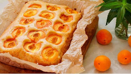 Scopri la Focaccia alle Albicocche sofficissima: un dolce leggerissimo da soli 150 kcal che rivoluzionerà le tue merende!