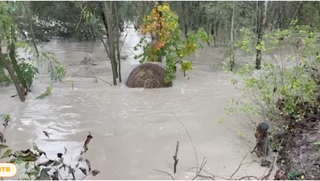 Maltempo, 58 gli interventi dei vigili del fuoco e messe in salvo 20 persone. VIDEO